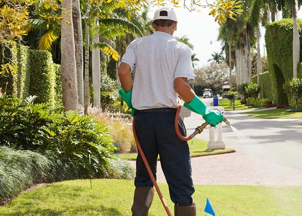 About Ransom IL Pest Control